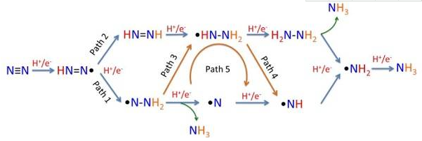 1506485211166025735.png blob.png